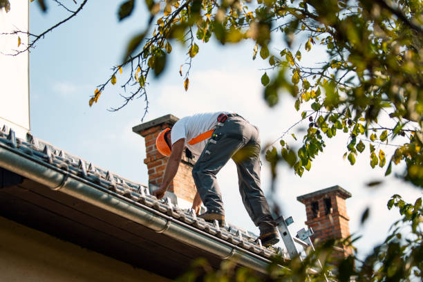 Best Roof Maintenance Services  in Cottonwood, ID